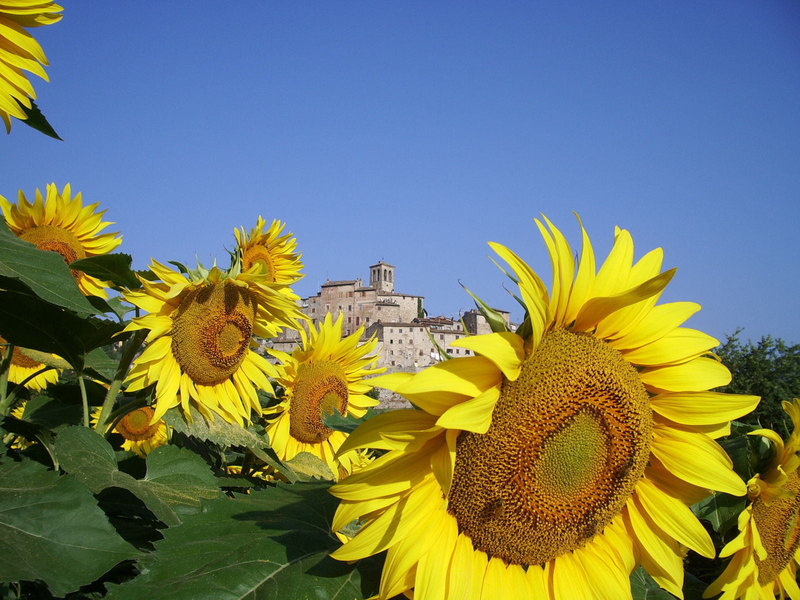 Valtiberina Umbra e Toscana