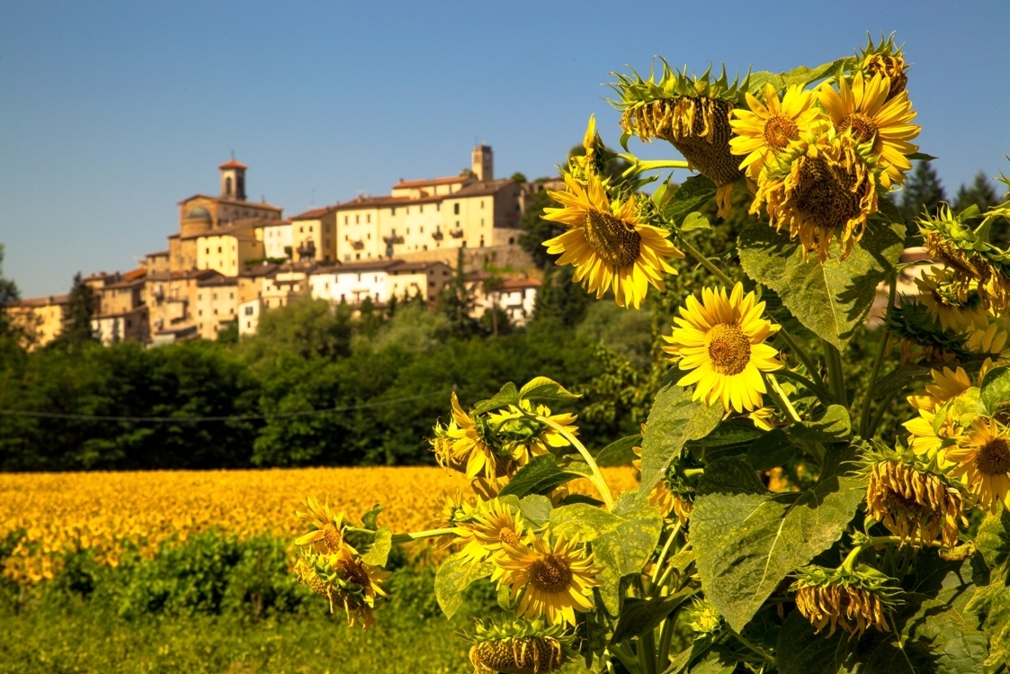 Monterchi