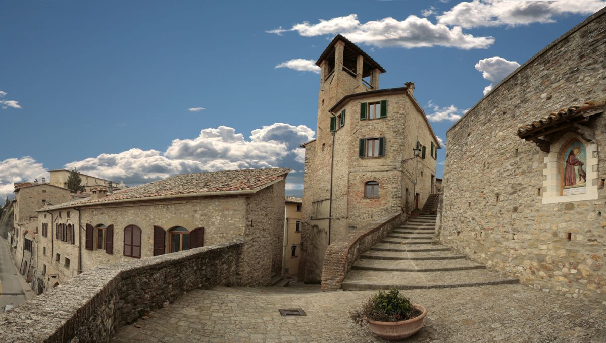 Montone