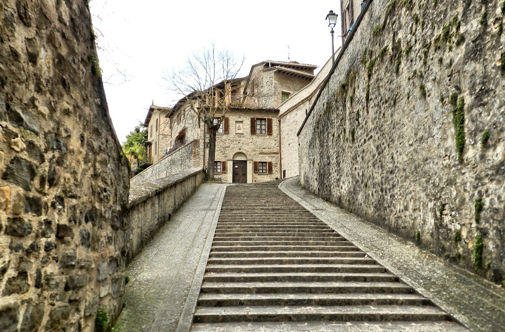 Montone