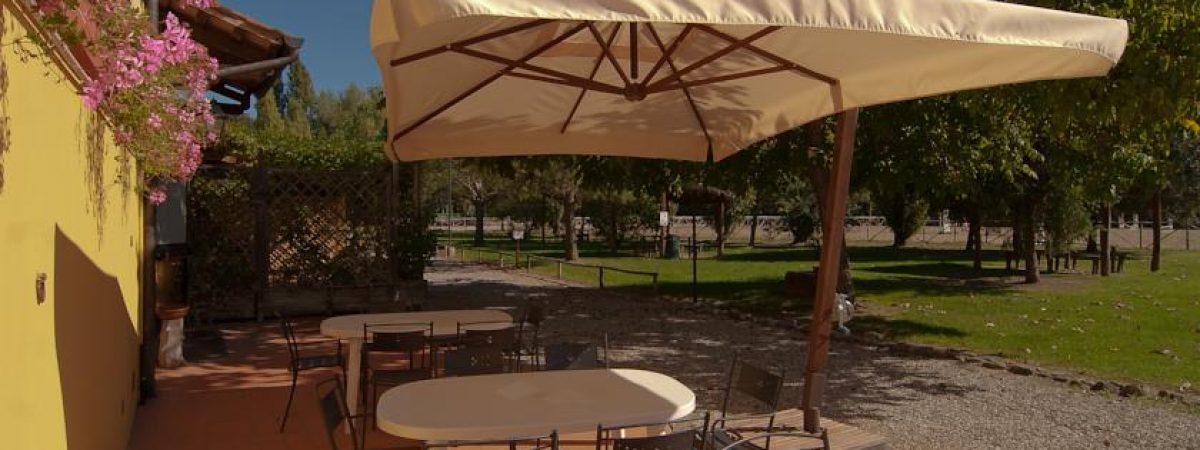 Podere Violino