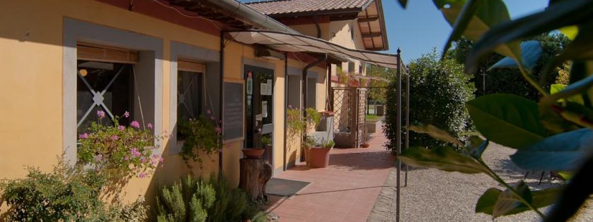 Podere Violino