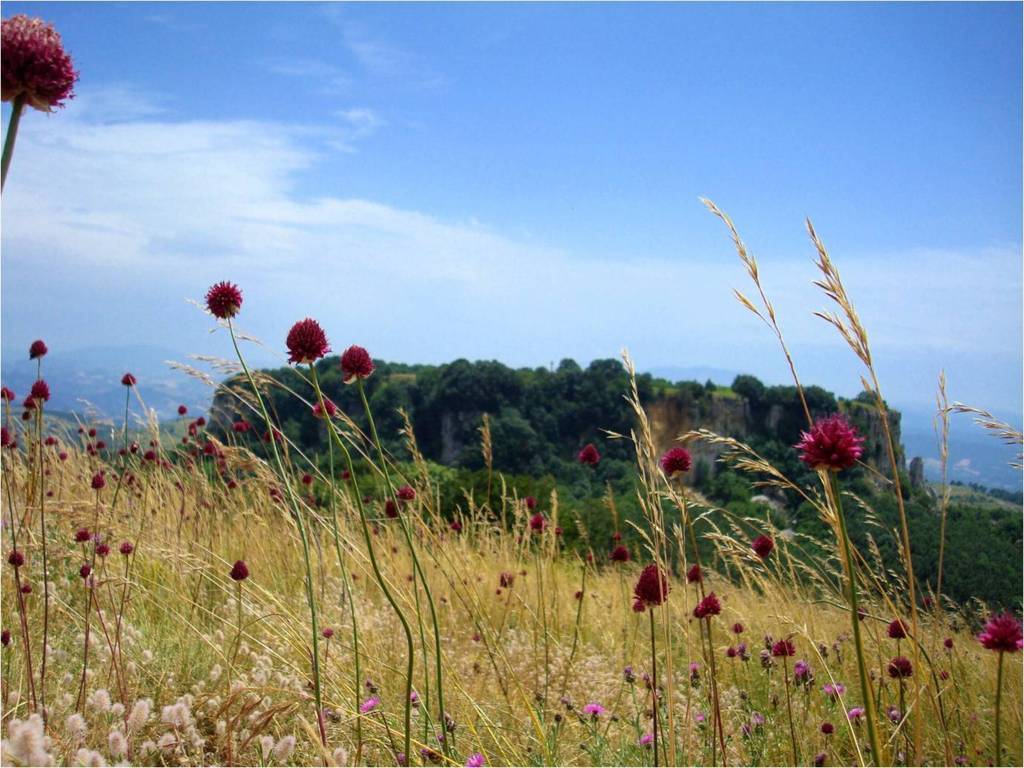 Sasso Simone - Sestino