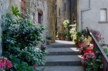 Yoga, Photography and Art in Tuscany Holiday