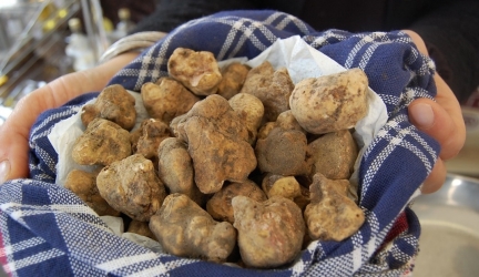 Mostra Mercato del tartufo bianco e della patata bianca