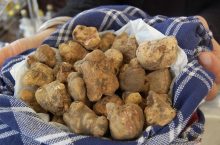 Mostra Mercato del tartufo bianco e della patata bianca